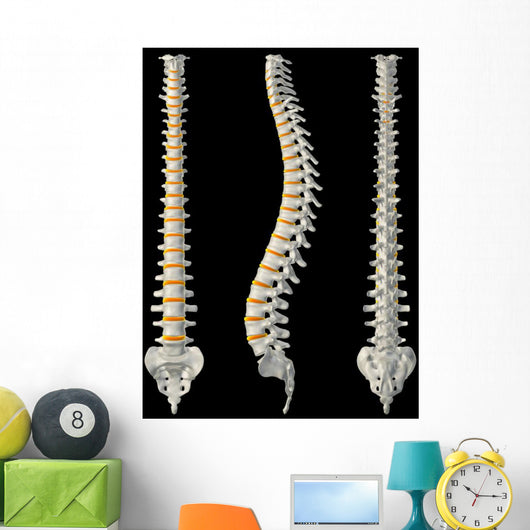 Views Spine Wall Decal