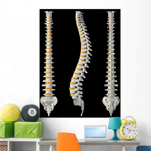 Views Spine Wall Decal