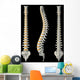 Views Spine Wall Decal