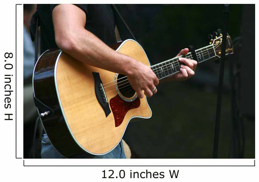 Musician With Guitar Wall Decal