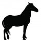Detailed Horse Silhouette Wall Decal