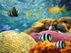 Underwater Surface Wall Decal
