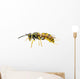 Wasp Wall Decal
