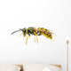 Wasp Wall Decal