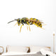 Wasp Wall Decal