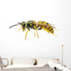 Wasp Wall Decal