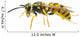 Wasp Wall Decal