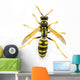 Wasp Top View Wall Decal
