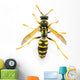 Wasp Top View Wall Decal