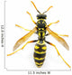 Wasp Top View Wall Decal