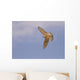 Merlin Wall Decal