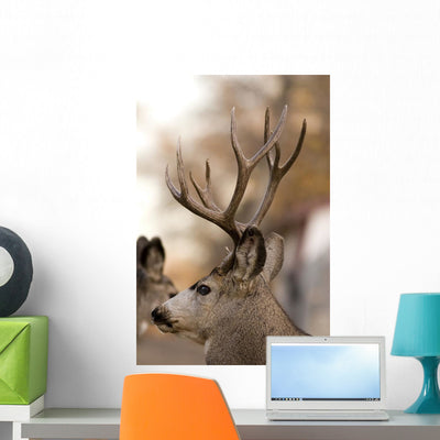Large Mule Deer Wall Decal shown on a wall