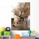 Large Mule Deer Wall Decal