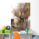 Large Mule Deer Wall Decal