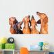 Five Muzzles Dachshund Dogs Wall Decal