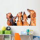 Five Muzzles Dachshund Dogs Wall Decal