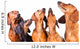 Five Muzzles Dachshund Dogs Wall Decal