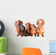 Five Dachshund Dogs Sitting Wall Decal