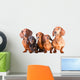 Five Dachshund Dogs Sitting Wall Decal