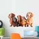 Five Dachshund Dogs Sitting Wall Decal
