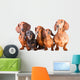 Five Dachshund Dogs Sitting Wall Decal