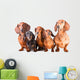 Five Dachshund Dogs Sitting Wall Decal