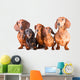Five Dachshund Dogs Sitting Wall Decal