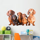 Five Dachshund Dogs Sitting Wall Decal