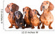 Five Dachshund Dogs Sitting Wall Decal