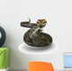 Python Wall Decal