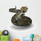 Python Wall Decal