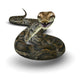 Python Wall Decal
