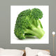 Fresh Broccoli Closeup Wall Decal