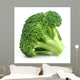 Fresh Broccoli Closeup Wall Decal