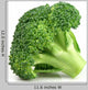 Fresh Broccoli Closeup Wall Decal