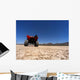 Atv Dry Lake Bed Wall Decal