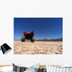 Atv Dry Lake Bed Wall Decal