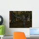 Alioramus-3D Dinosaur Wall Decal