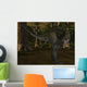 Alioramus-3D Dinosaur Wall Decal
