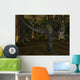 Alioramus-3D Dinosaur Wall Decal