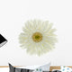 Fleur Blanche Gerbera Wall Decal