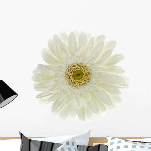 Fleur Blanche Gerbera Wall Decal