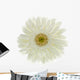 Fleur Blanche Gerbera Wall Decal