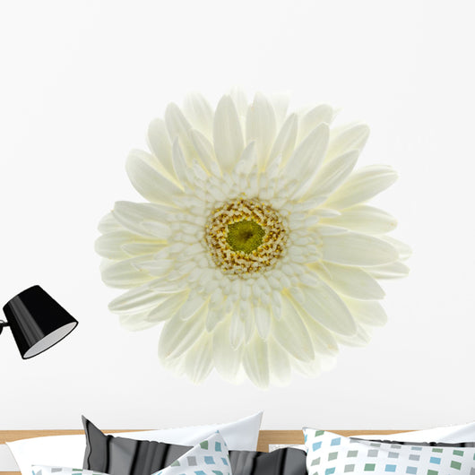 Fleur Blanche Gerbera Wall Decal