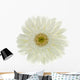 Fleur Blanche Gerbera Wall Decal