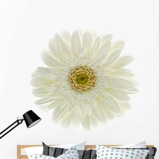 Fleur Blanche Gerbera Wall Decal