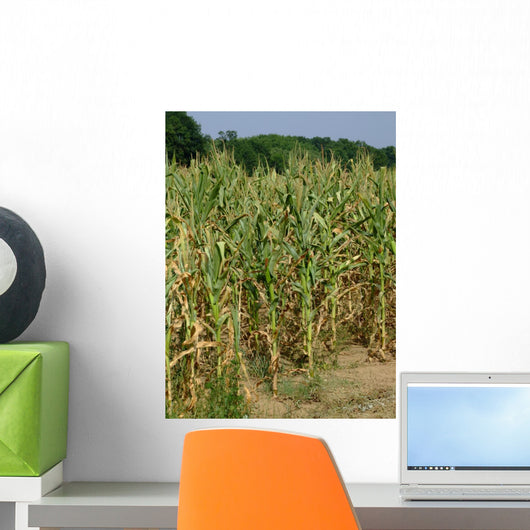 Corn Stalks Wall Decal