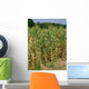 Corn Stalks Wall Decal