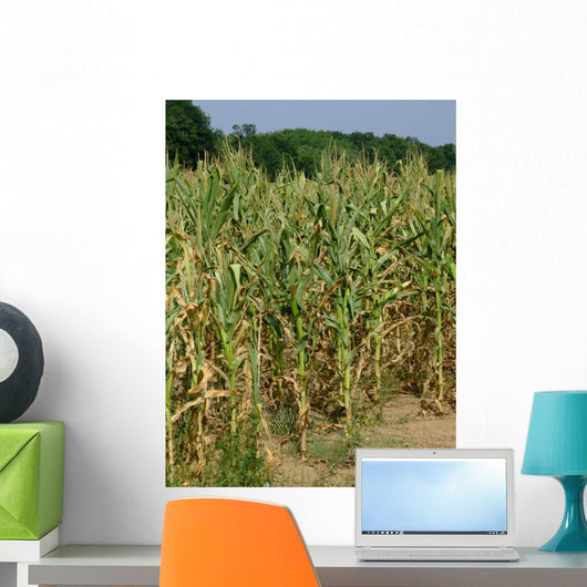 Corn Stalks Wall Decal