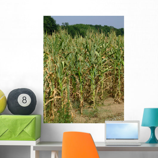 Corn Stalks Wall Decal